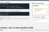 Cookies: čo si o vás web pamätá, ako dlho a kto to rozhoduje